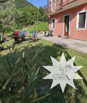 Pizinno CasaPonzi